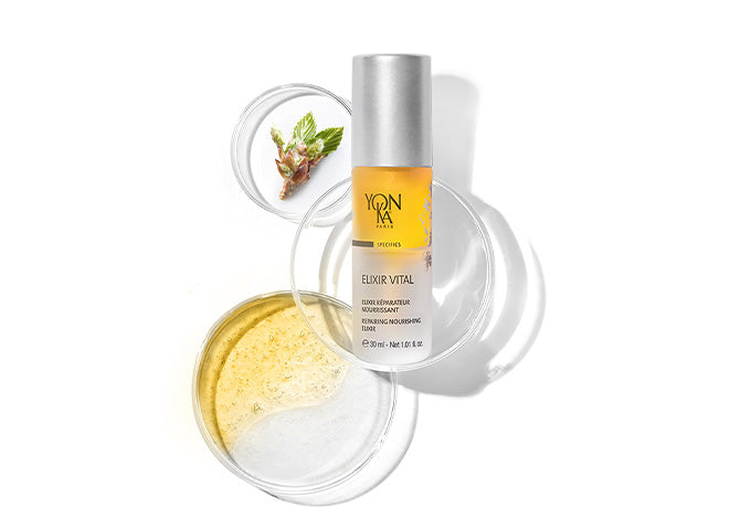 Product Spotlight: Elixir Vital (New Formula)