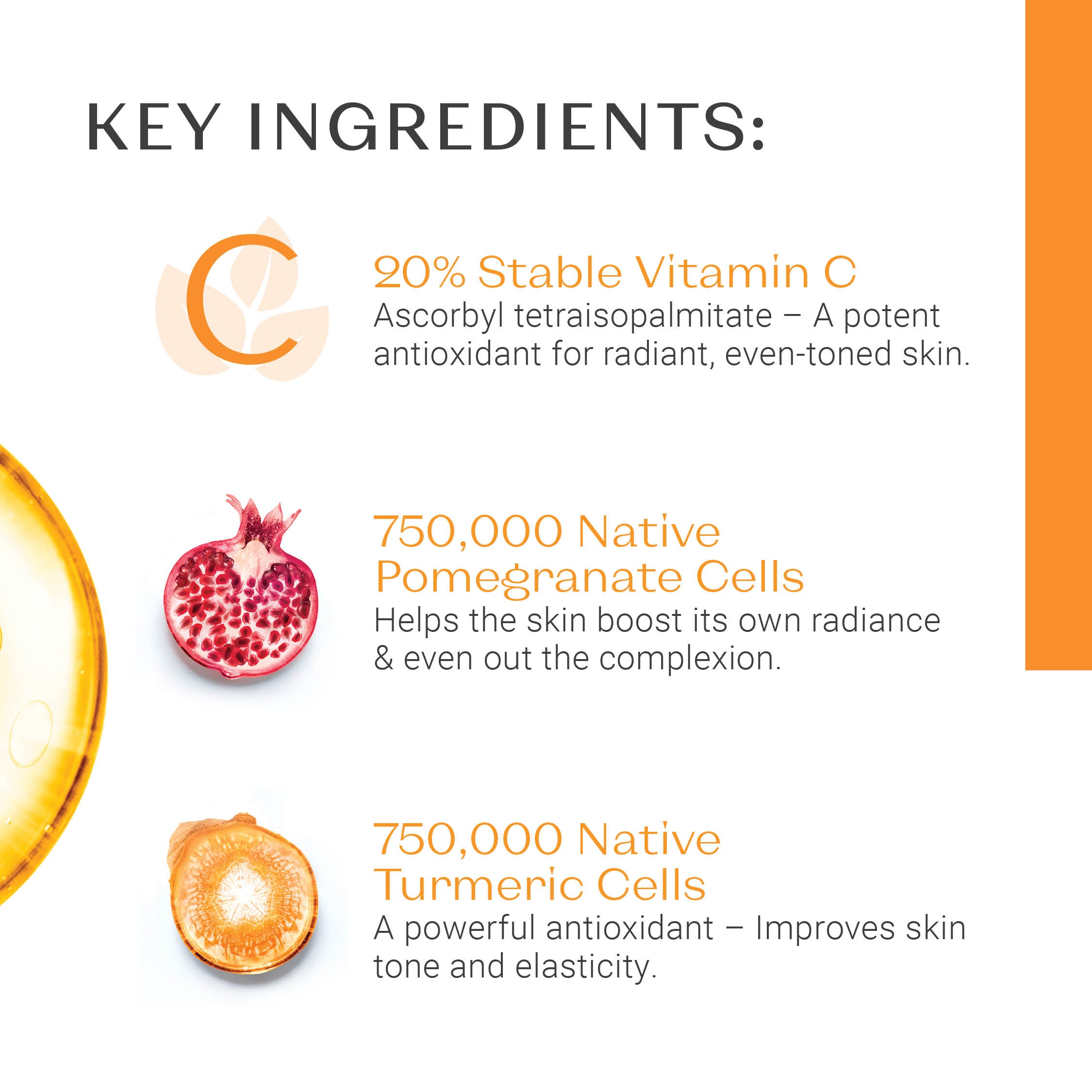 TRAVEL SERUM VITAMINE C