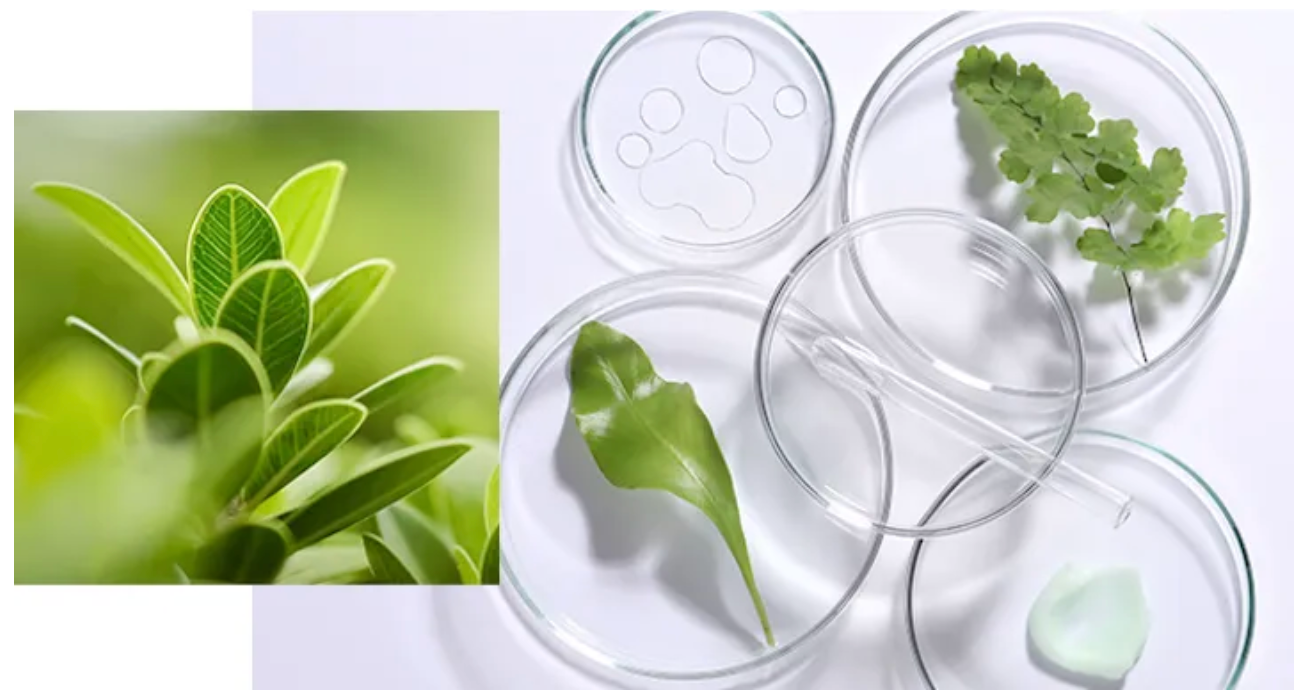 Image Title Alt Image