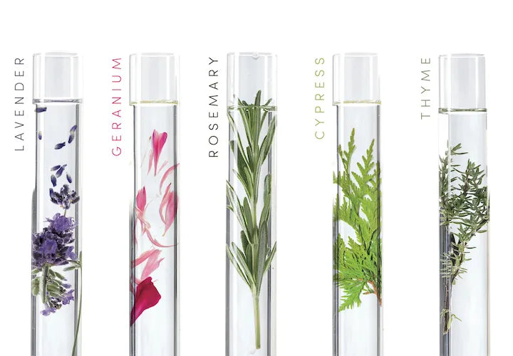 Image Title Alt Image