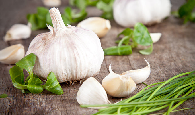 Superfood Spotlight: Garlic