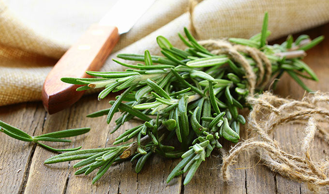 Benefits of Rosemary for Your Skin & Health