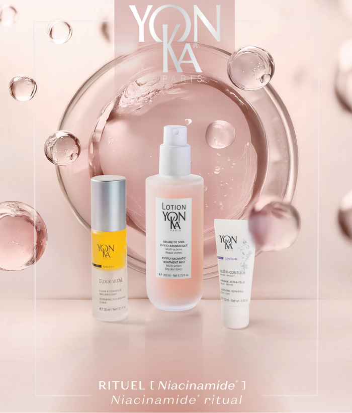 Holiday Set | NIACINAMIDE: PERFECT SKIN
