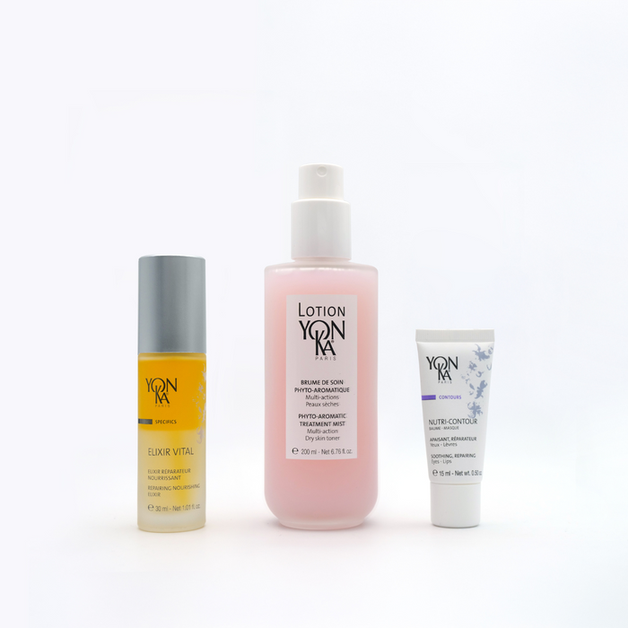 Holiday Set | NIACINAMIDE: PERFECT SKIN