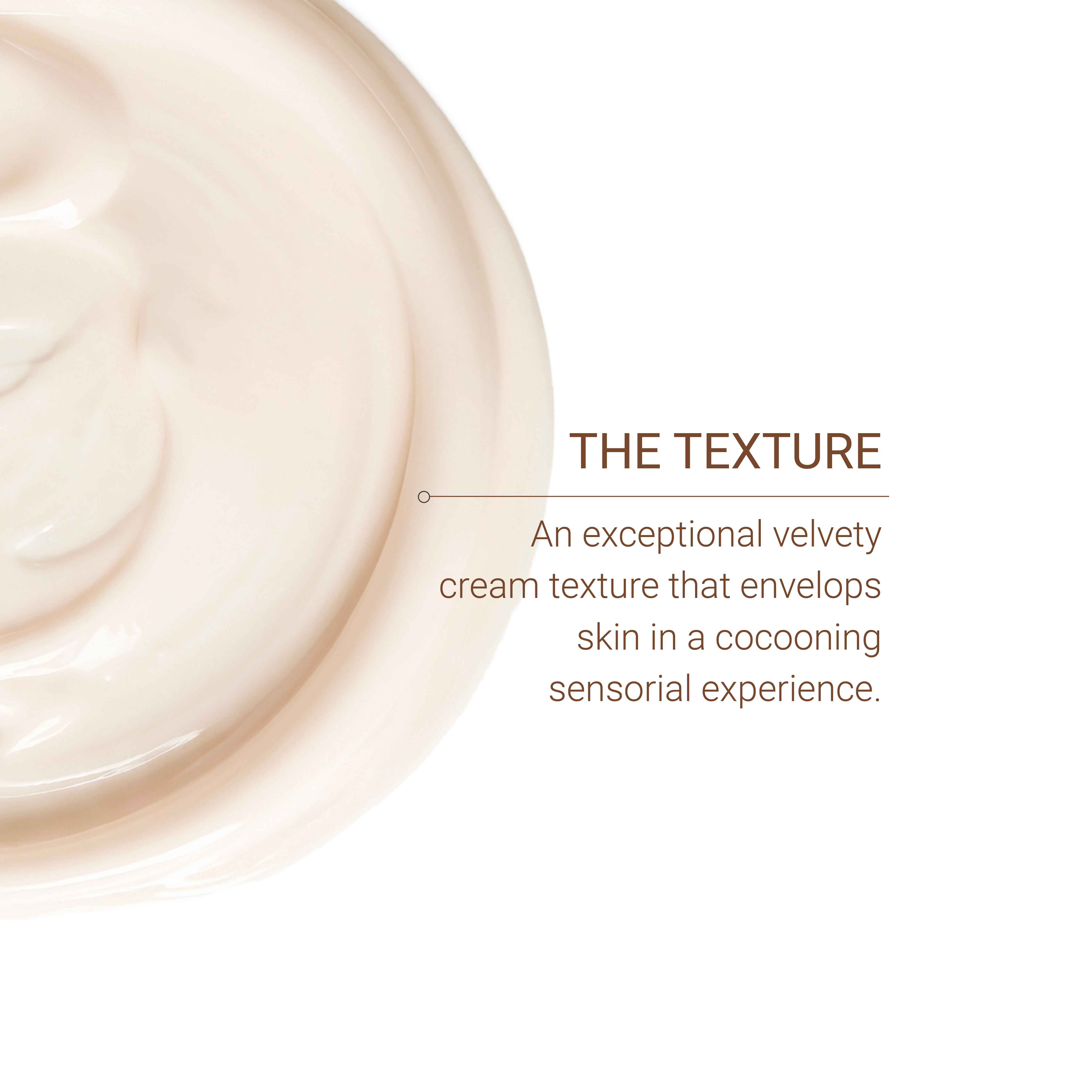 La Crème – Excellence Code