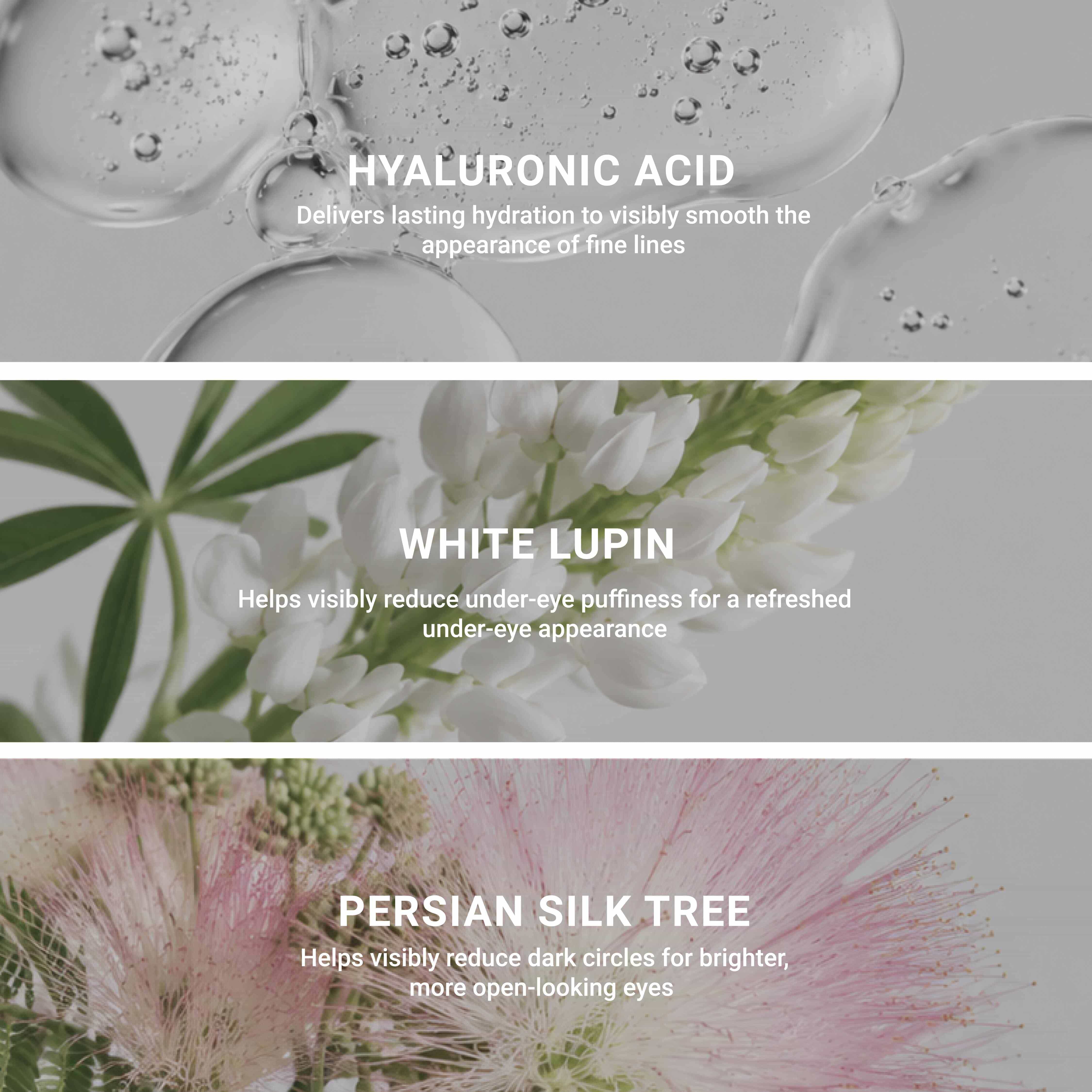 Le Contour – Excellence Code